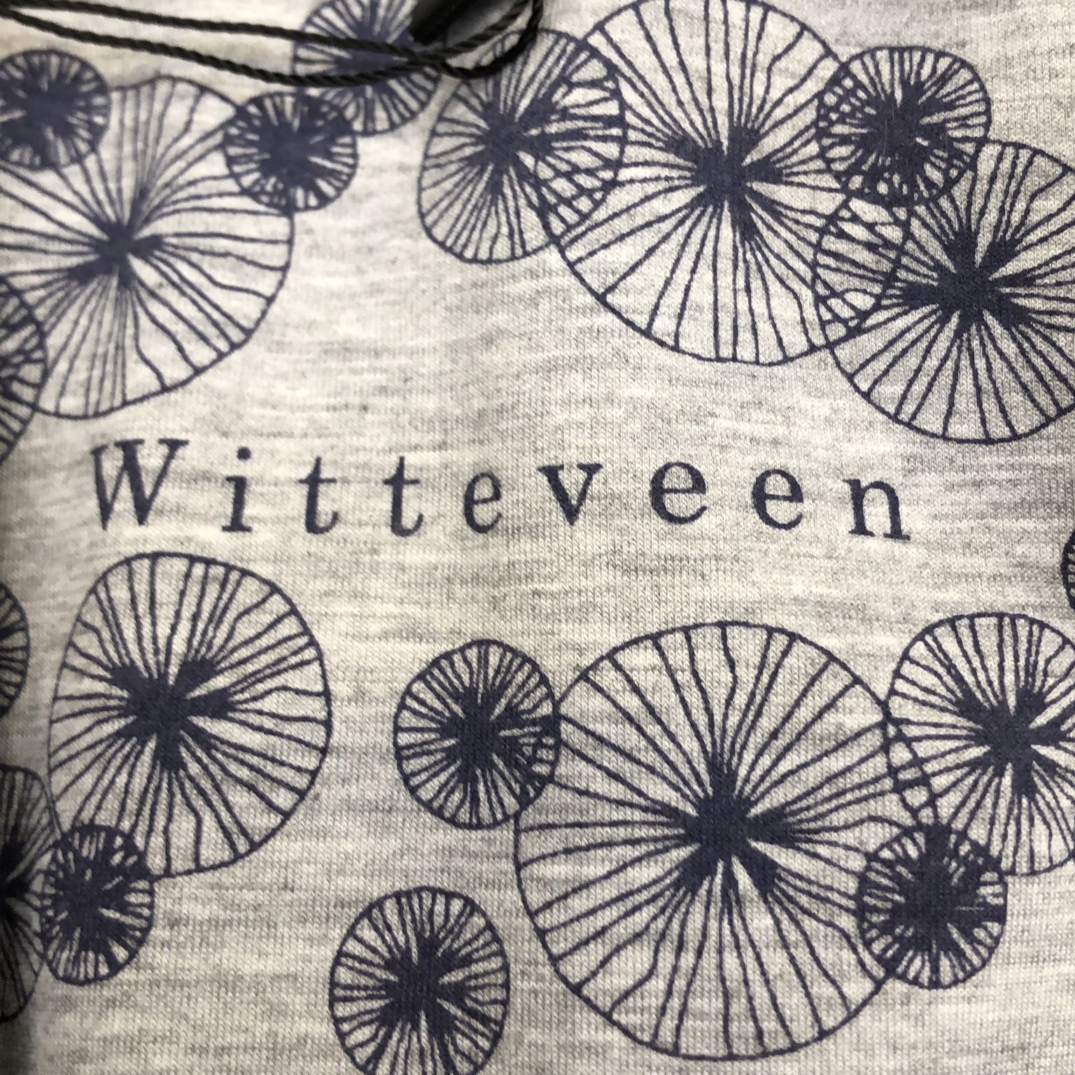 Witteveen