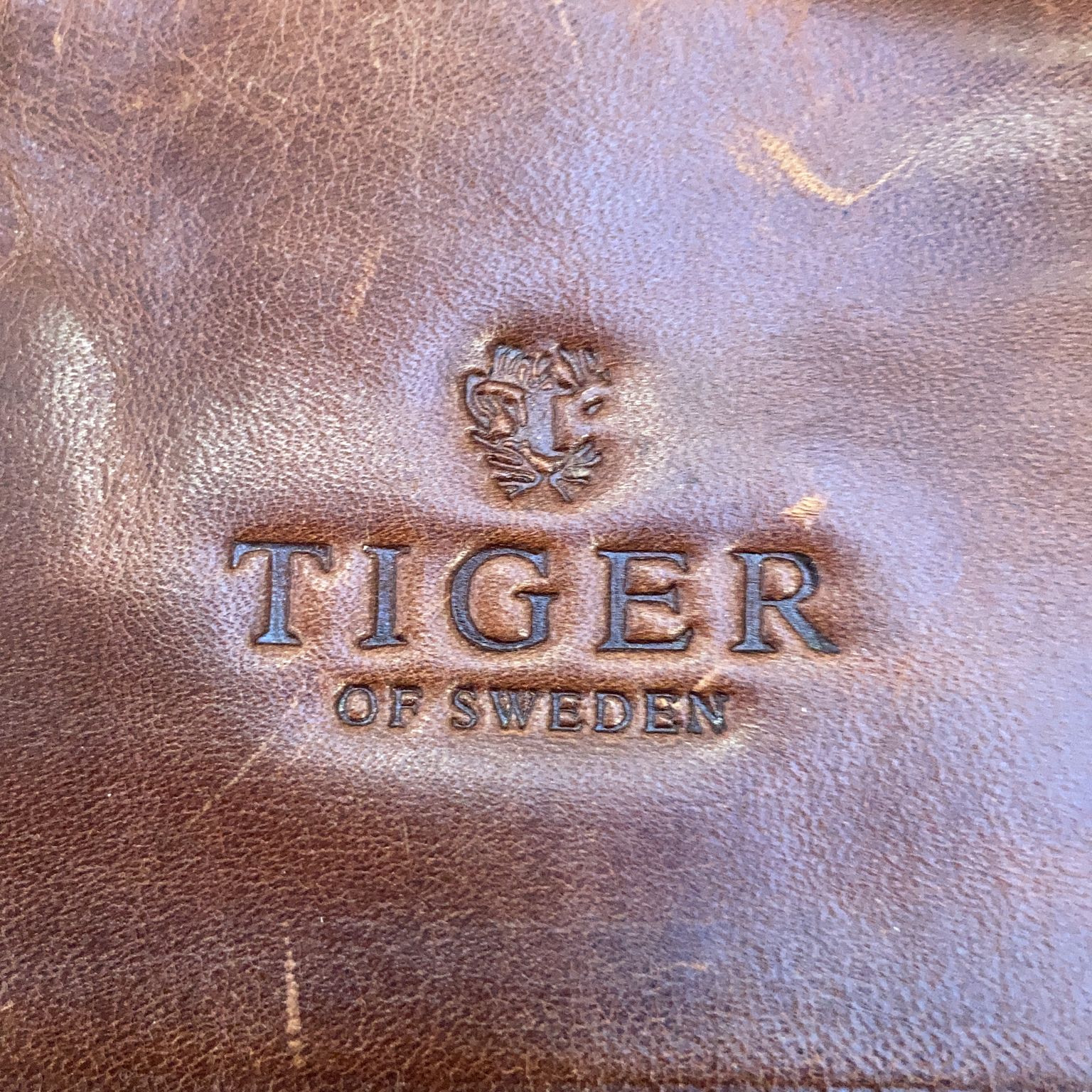 Tiger of Sweden