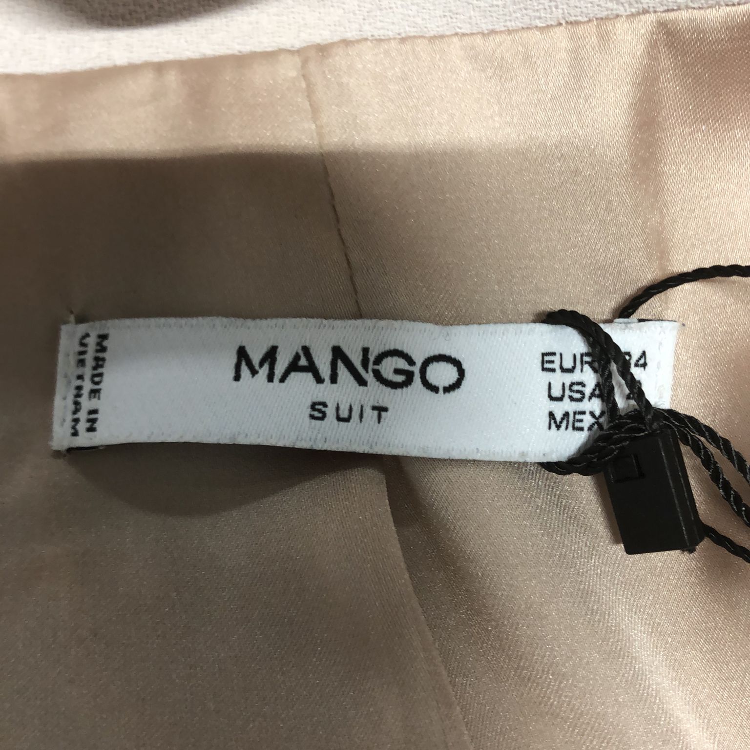 Mango Suit