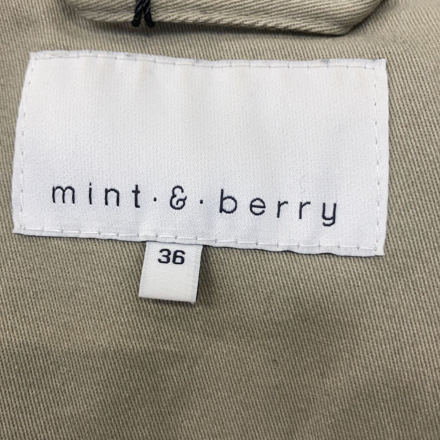 Mint  Berry