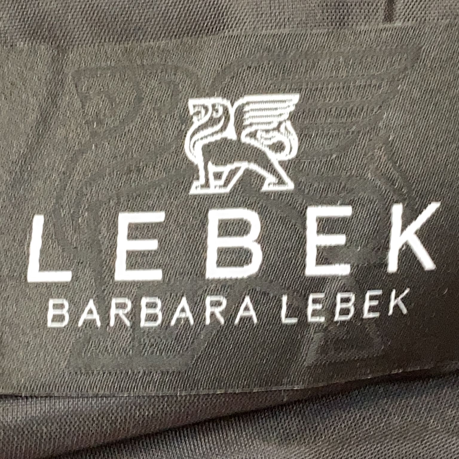 Barbara Lebek