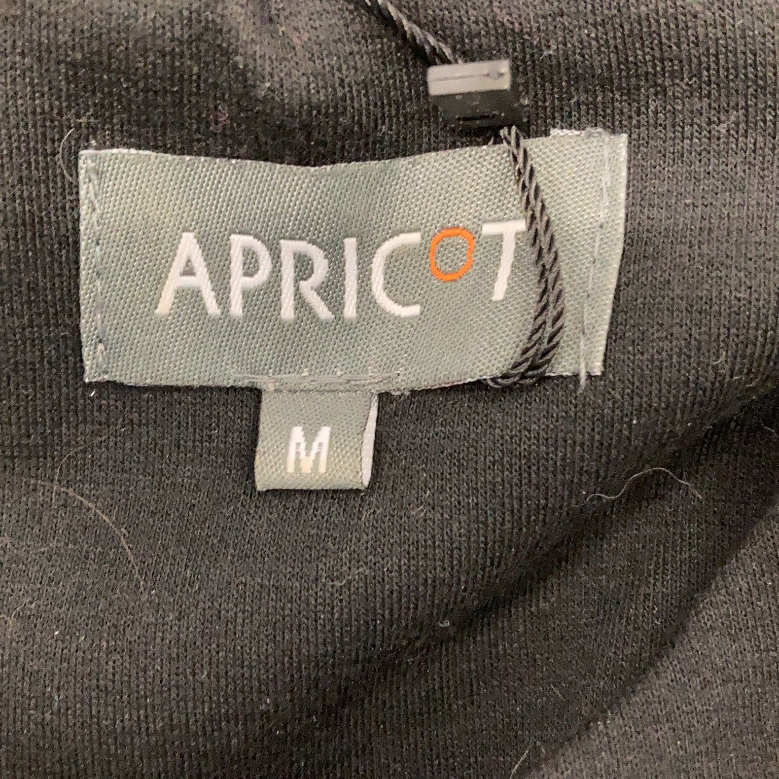 Apricot