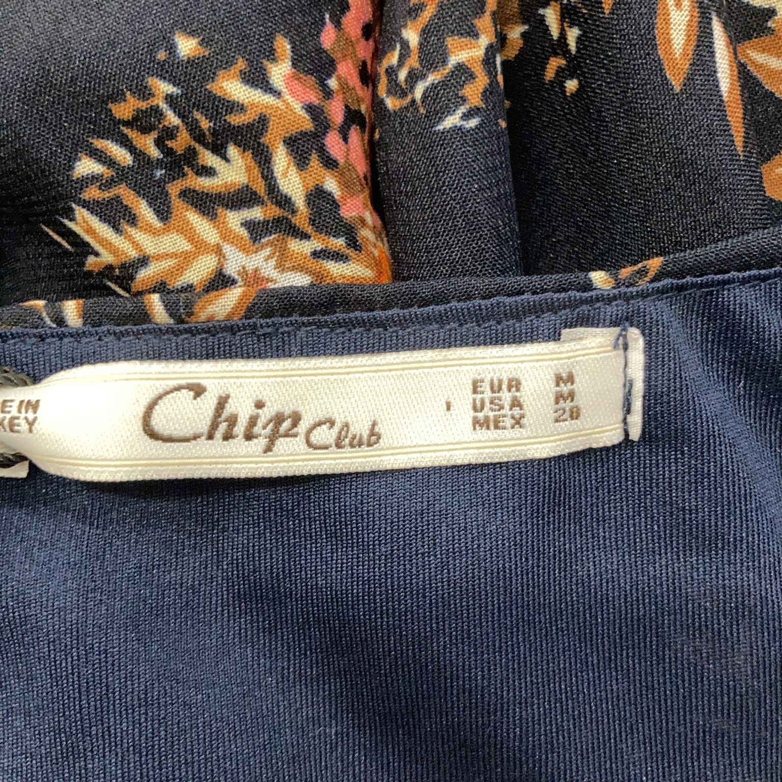 Chip