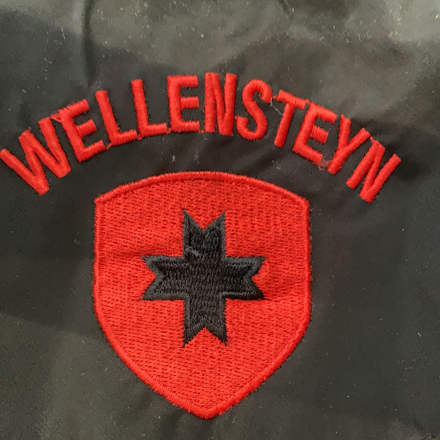 Wellensteyn