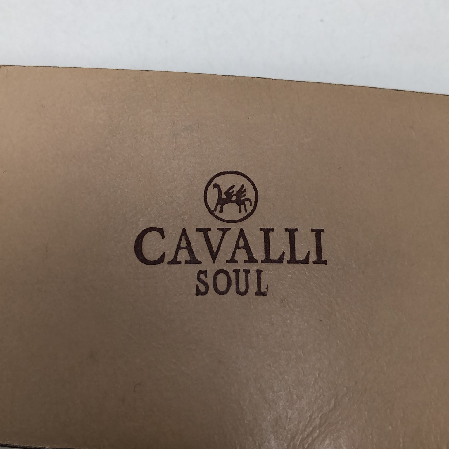 Cavalli