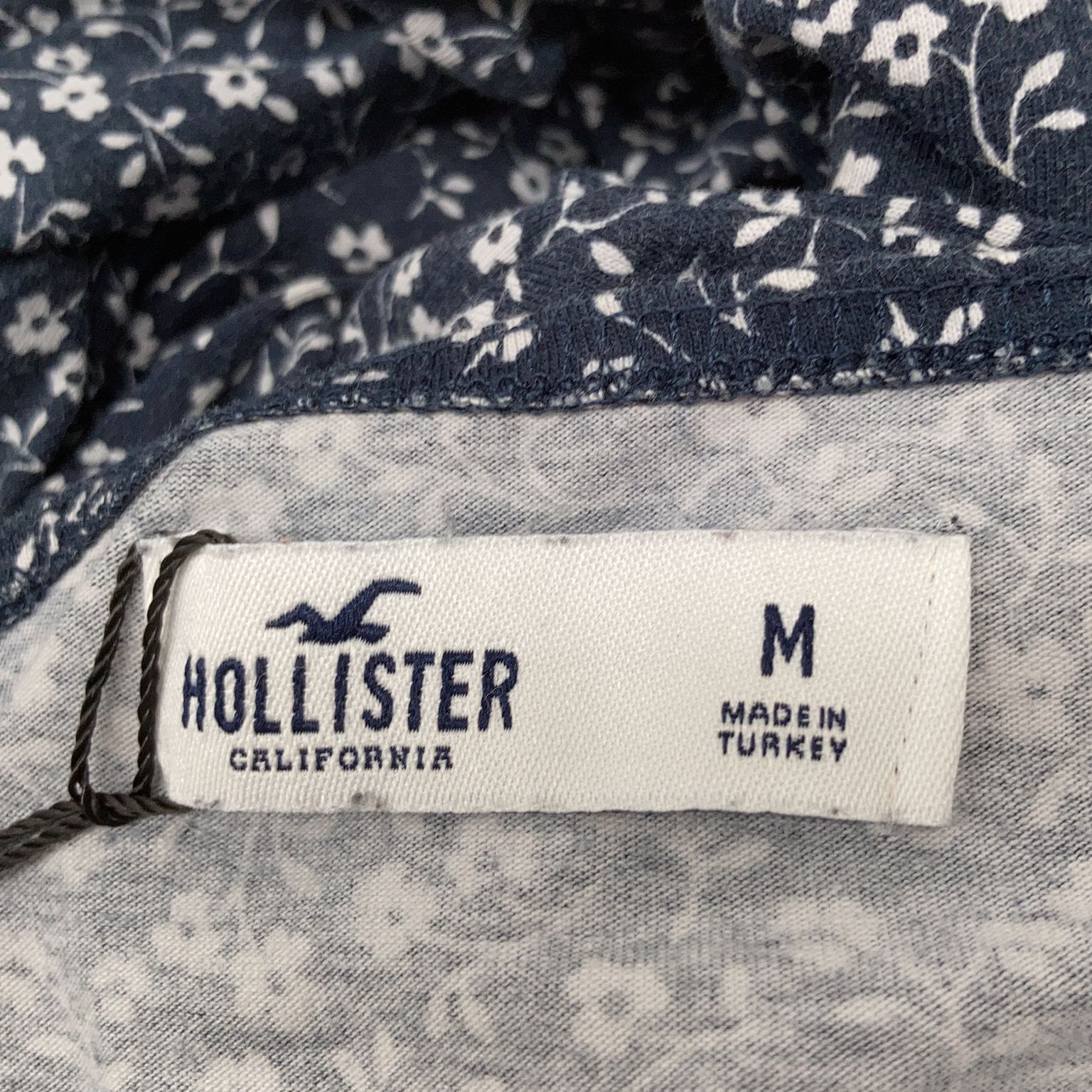 Hollister