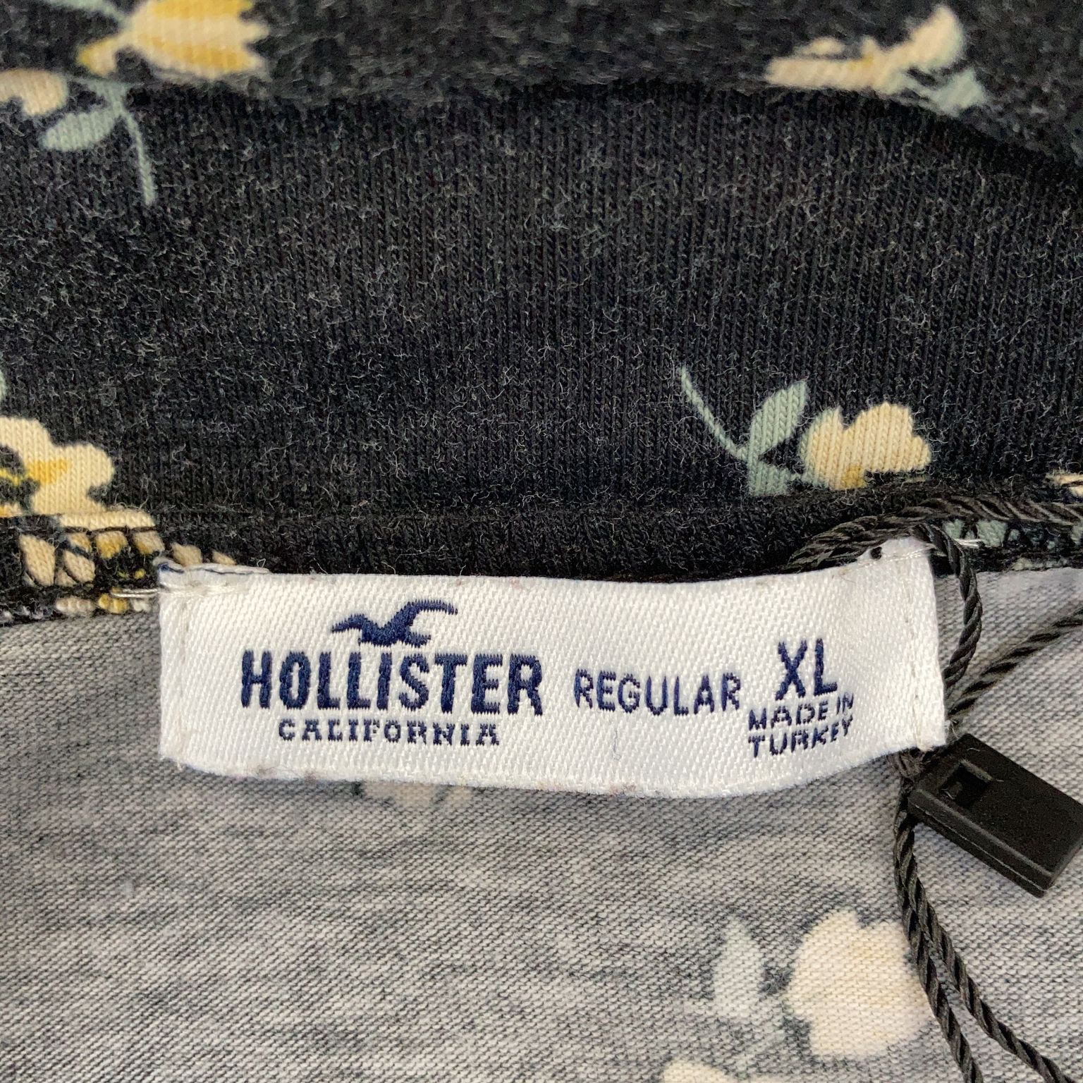 Hollister California