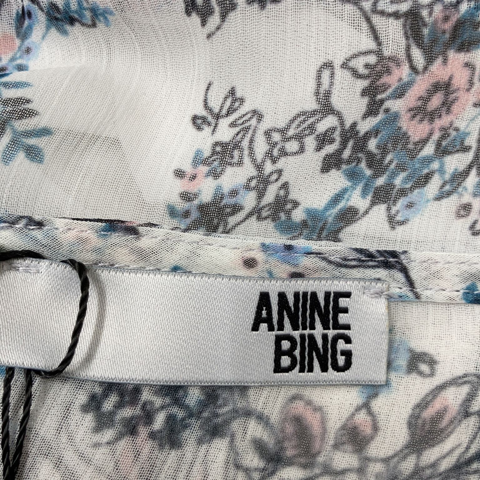 Anine Bing