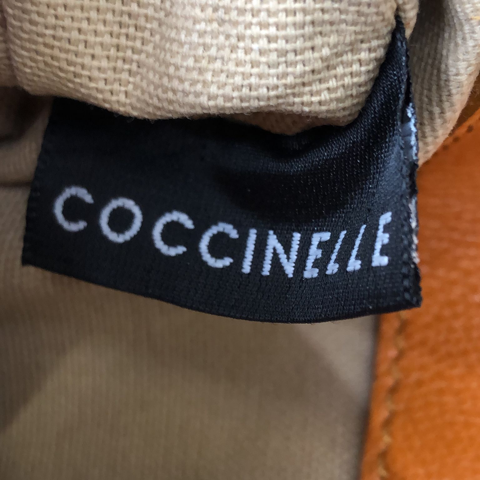 Coccinelle