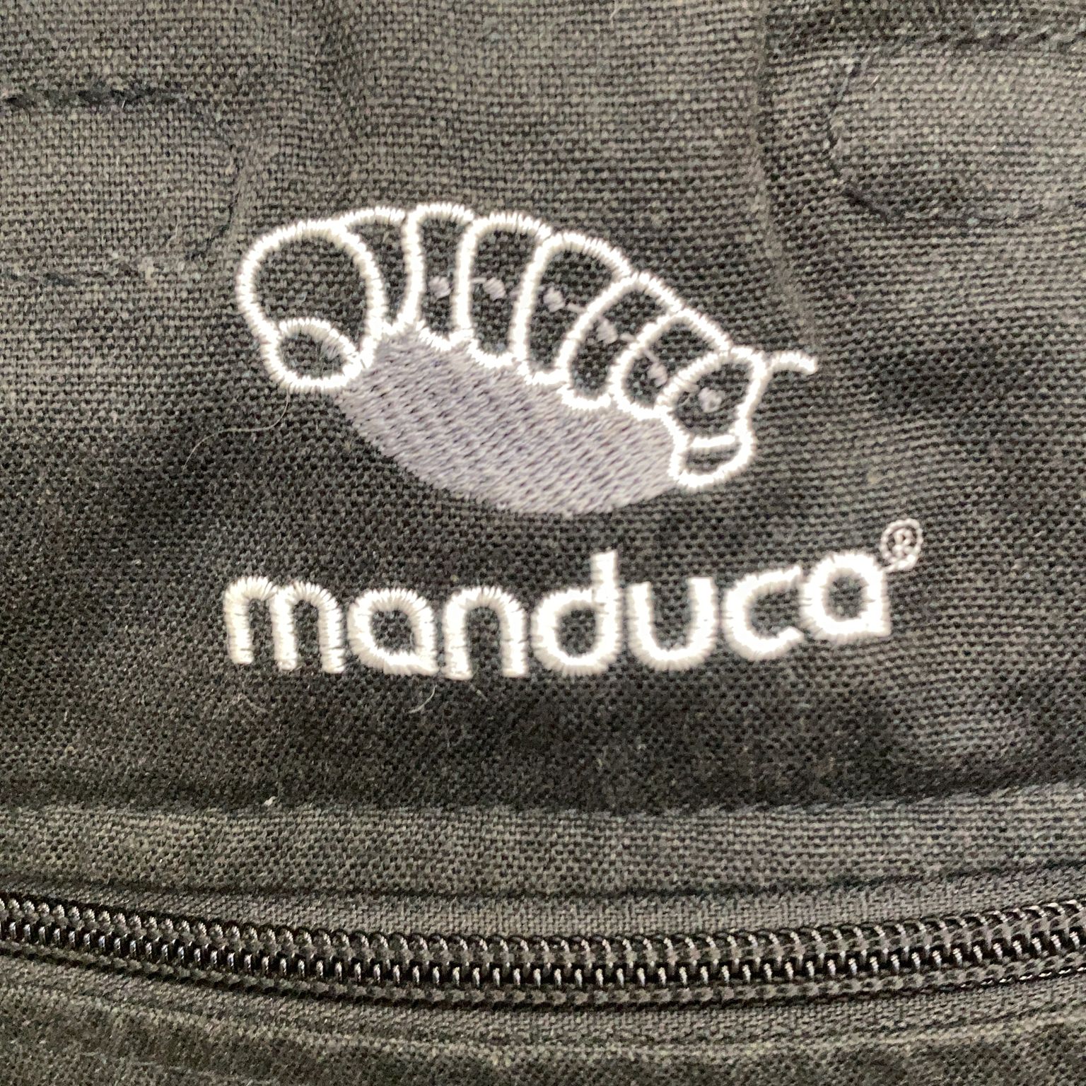 Manduca