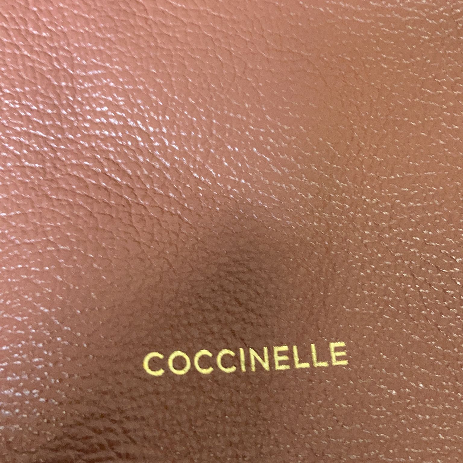 Coccinelle