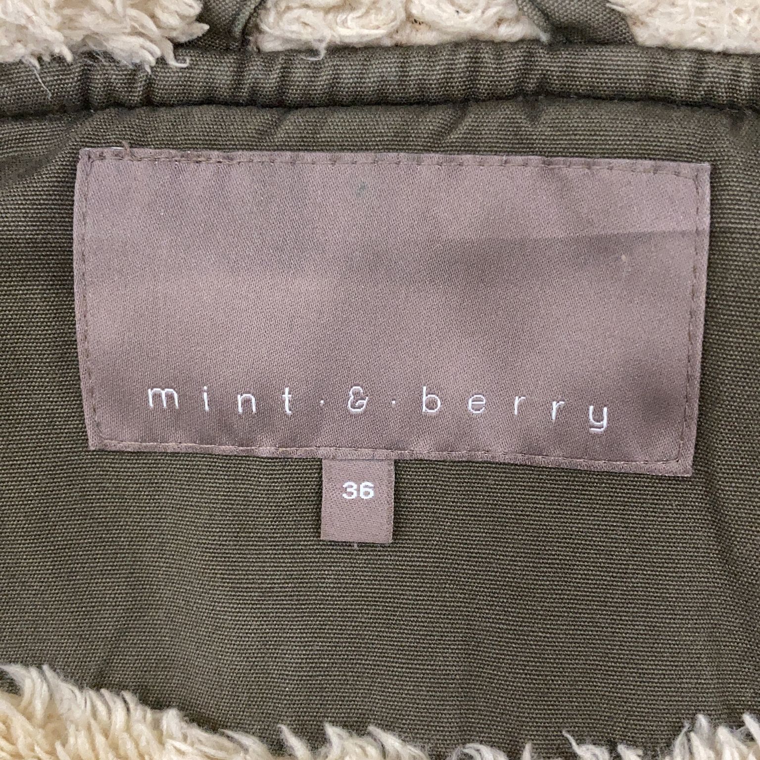 Mint  Berry