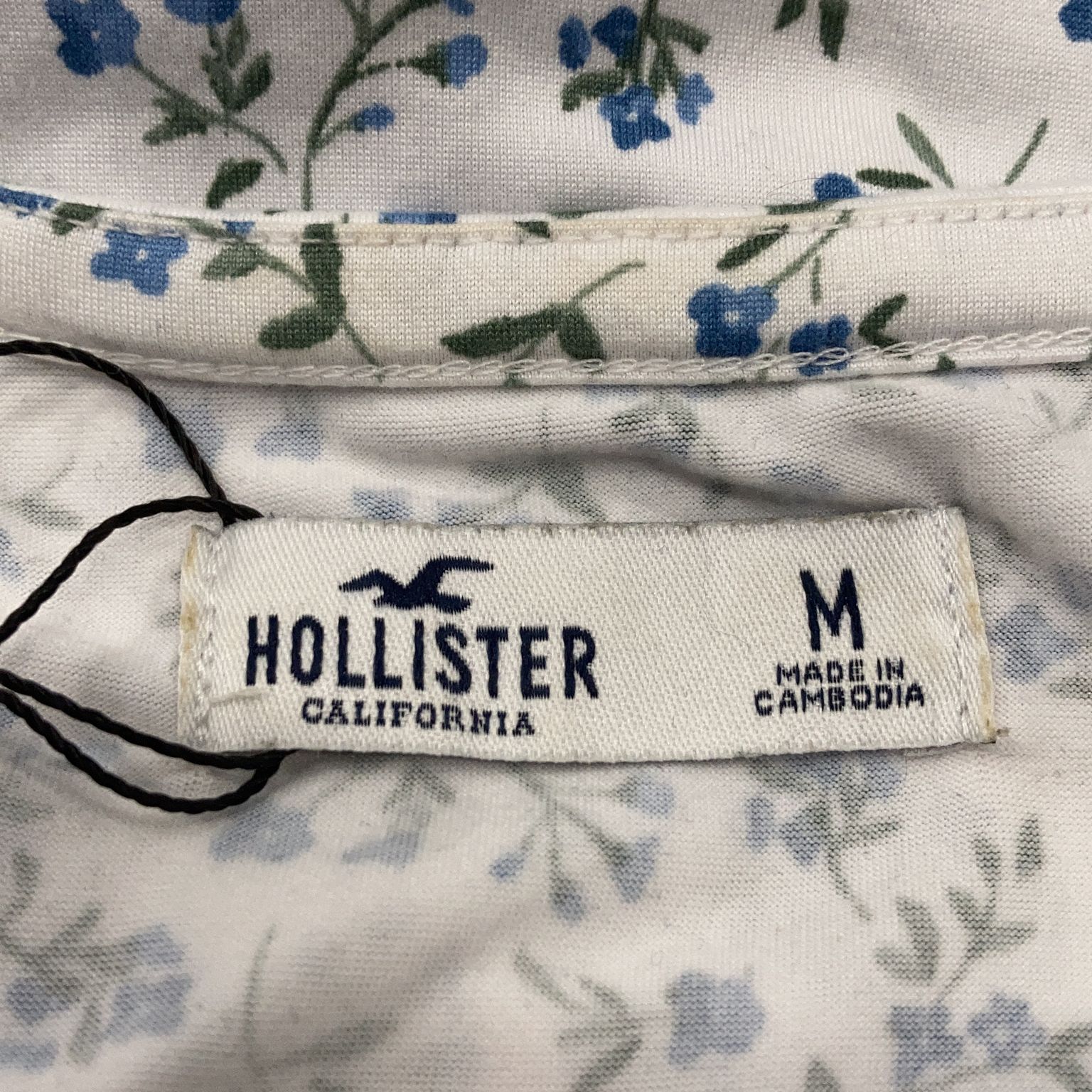 Hollister California