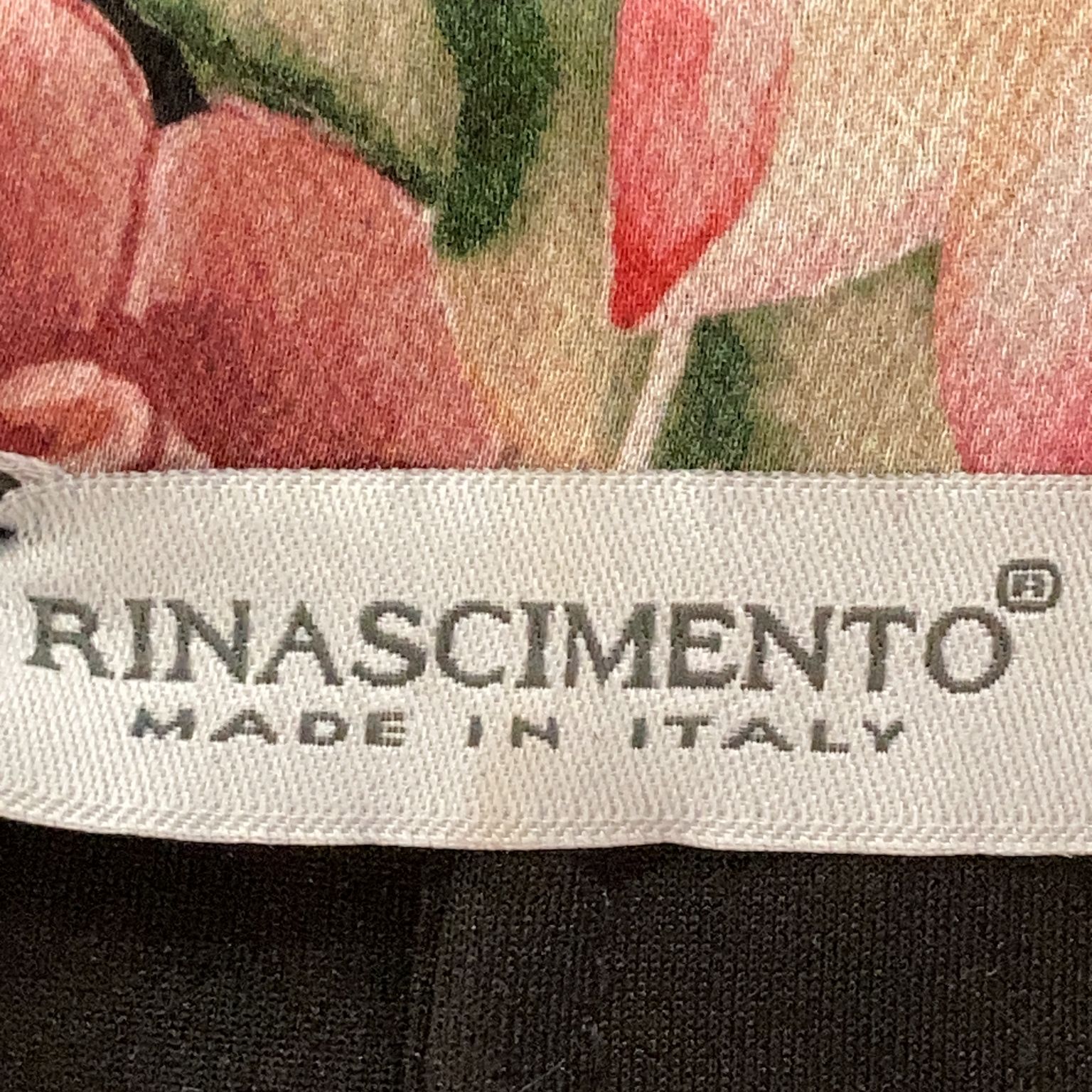 Rinascimento