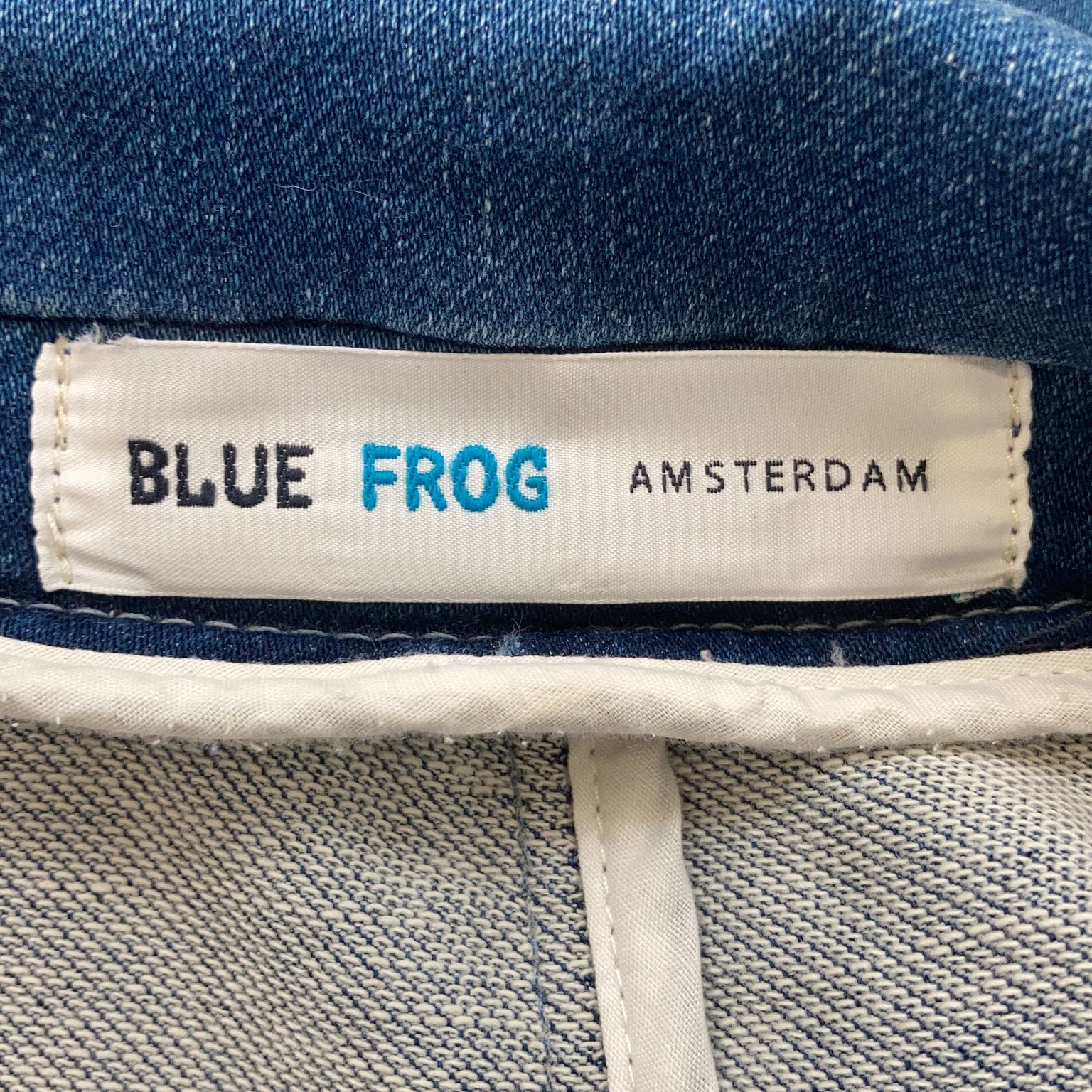 Blue Frog