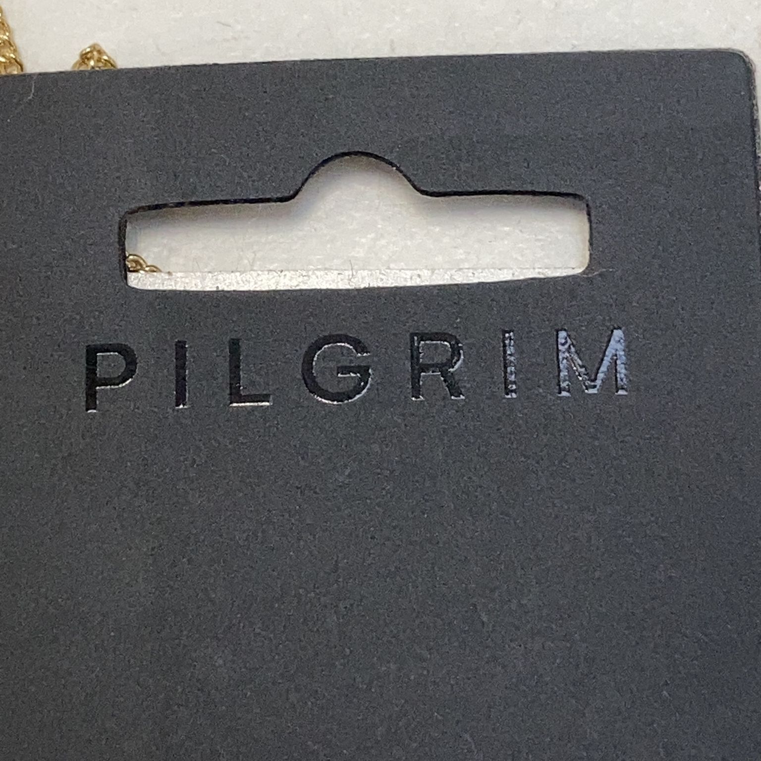 Pilgrim