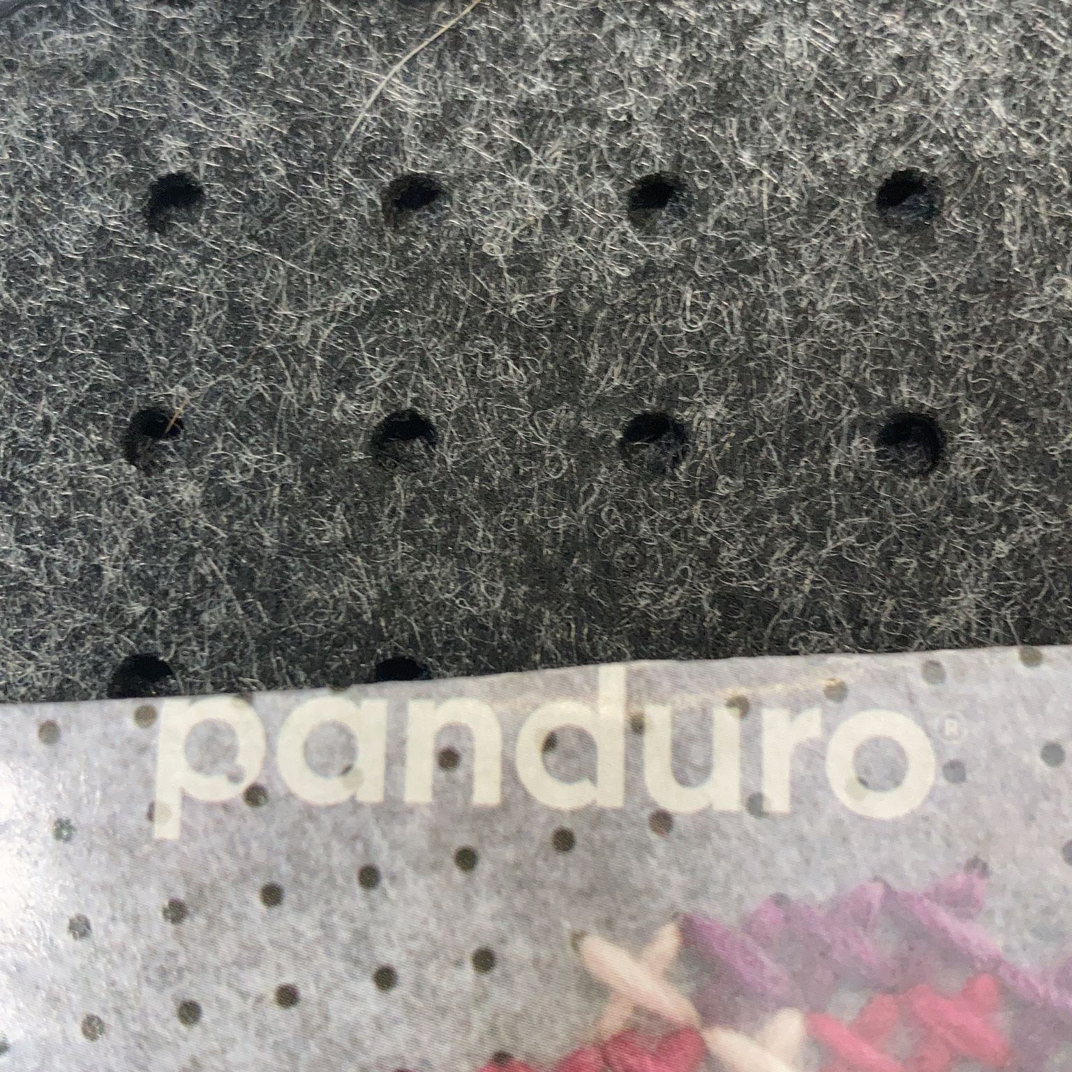 Panduro