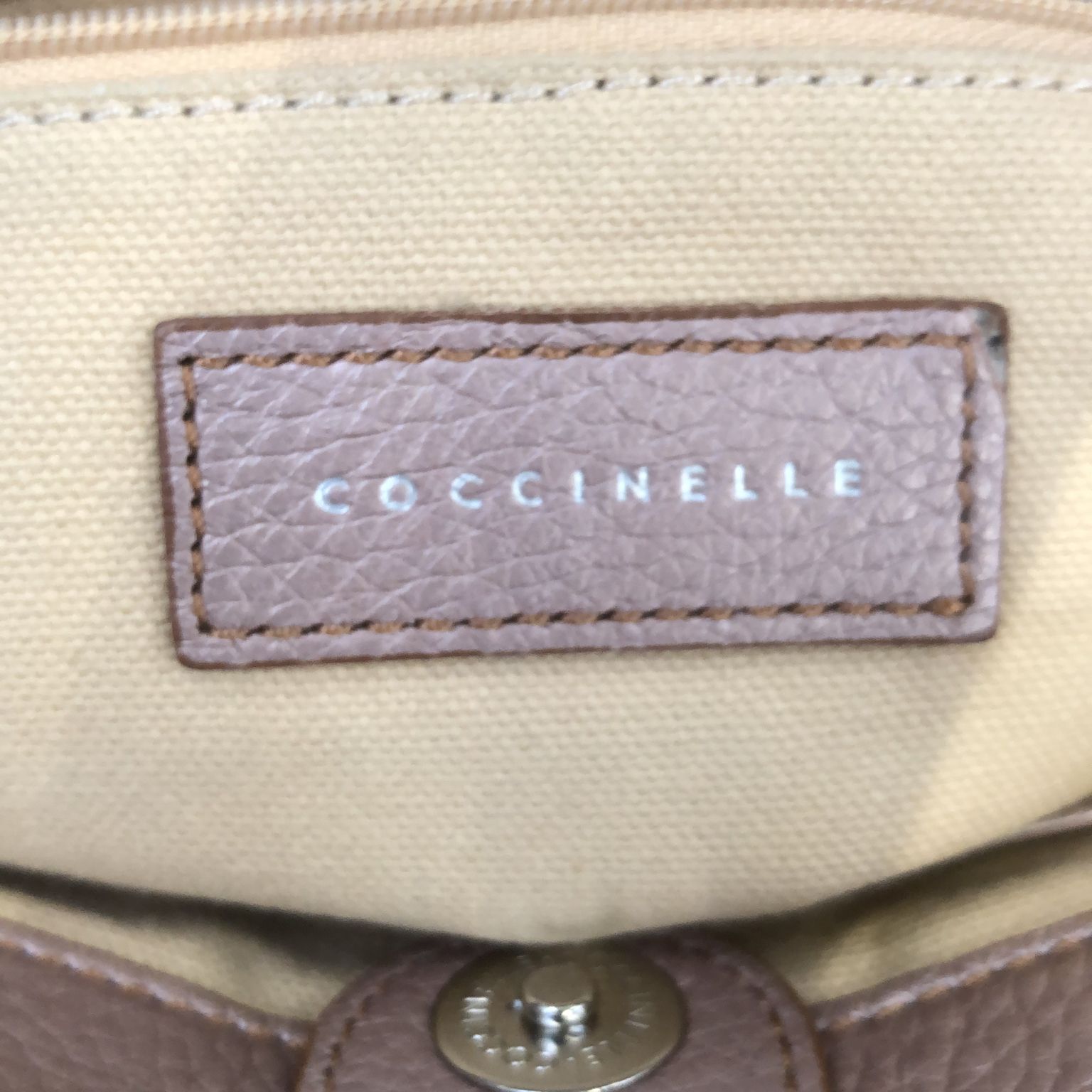 Coccinelle