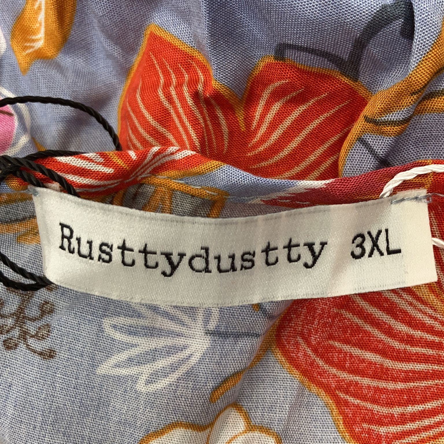 Rusttydustty