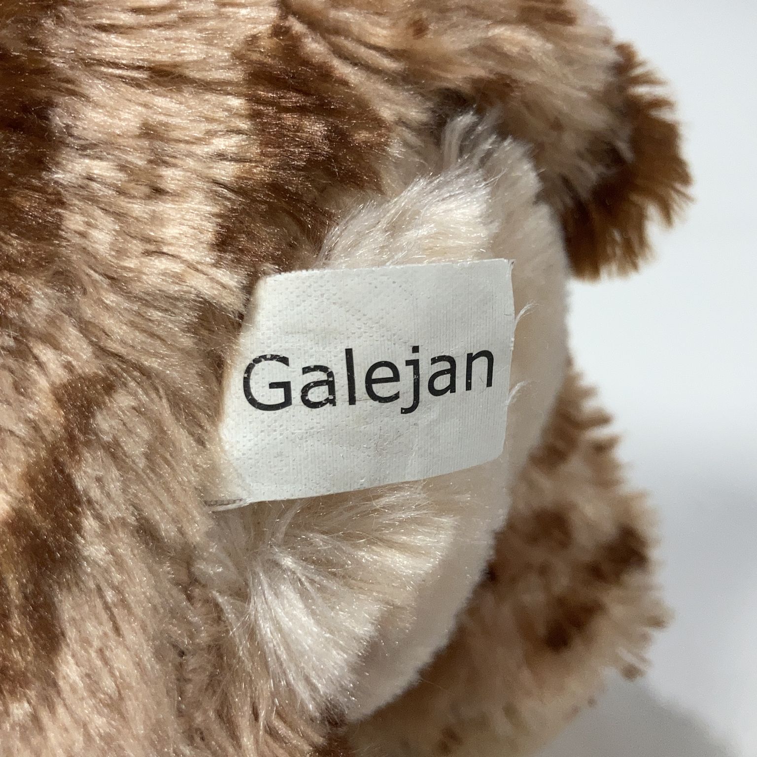 Galejan