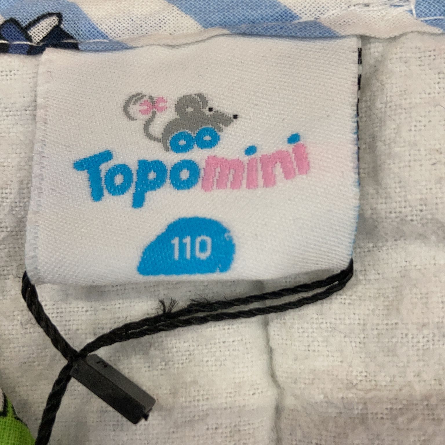 Topomini