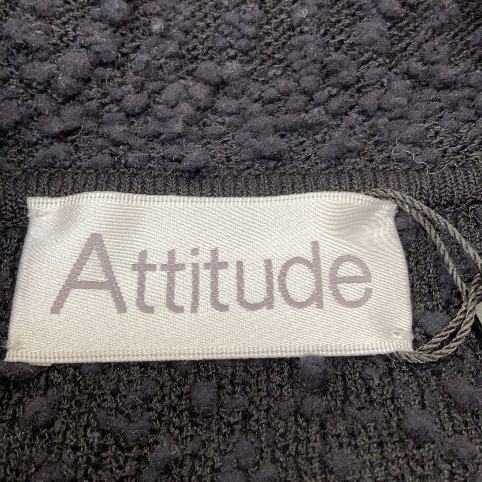 Attitude