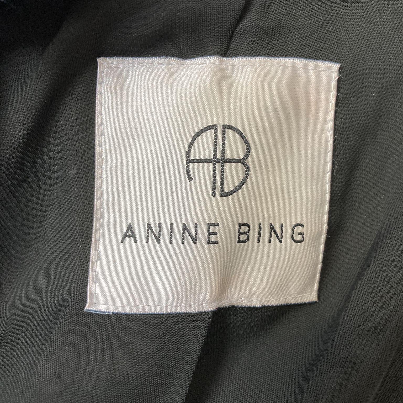 Anine Bing