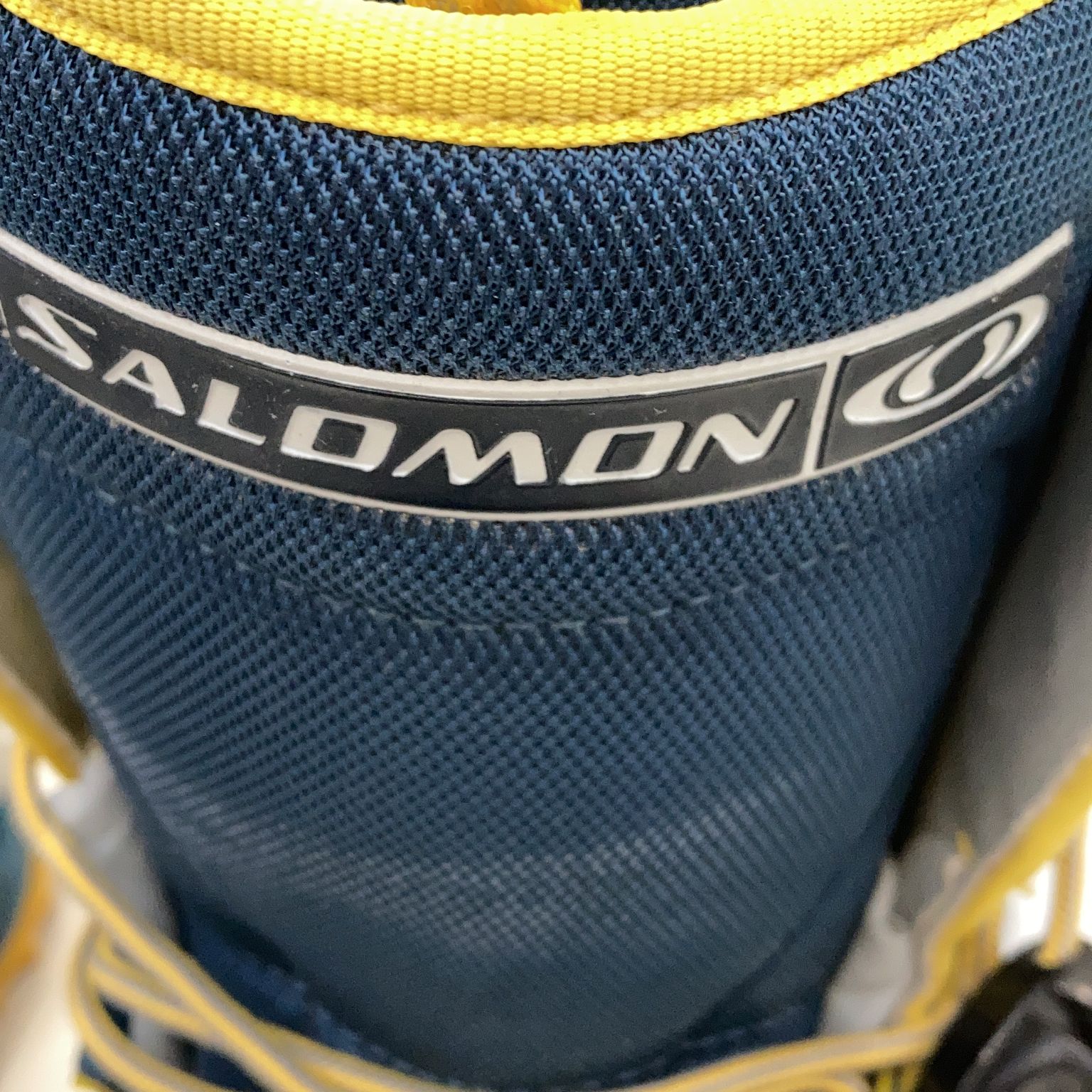 Salomon