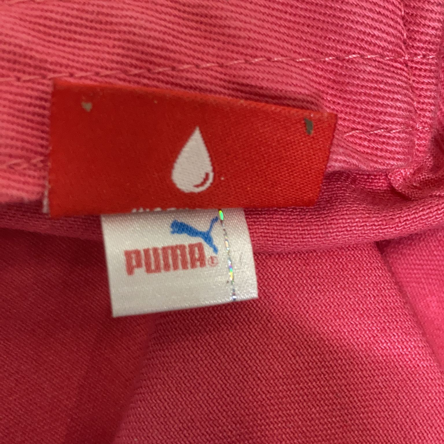 Puma