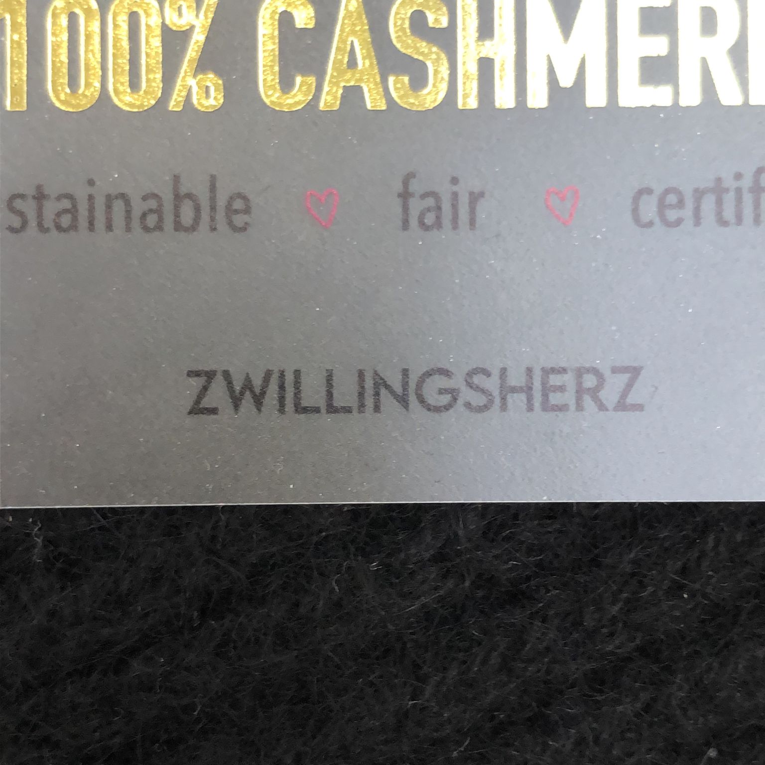 Zwillingsherz