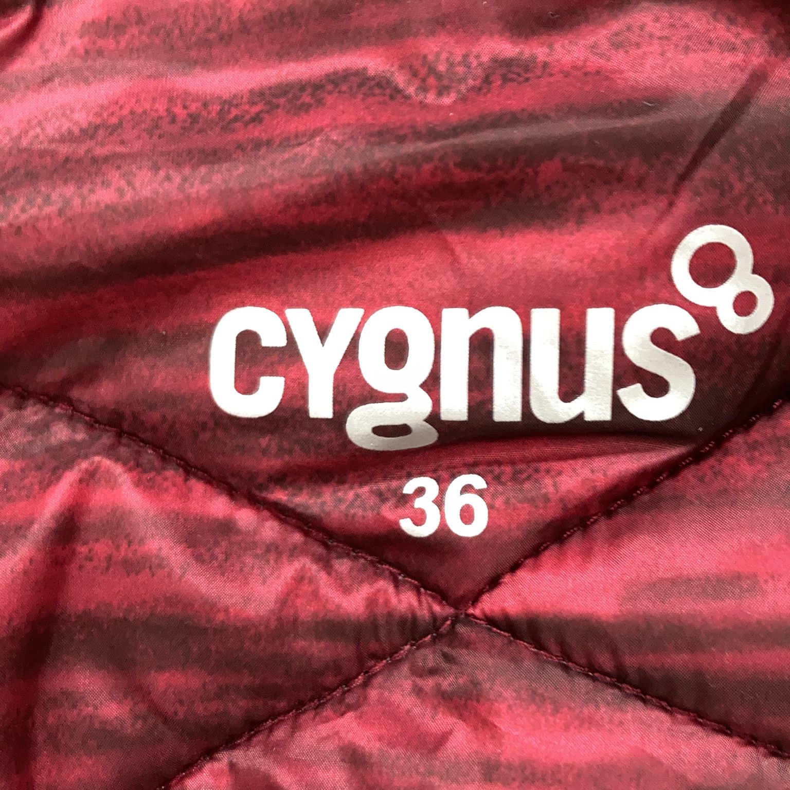 Cygnus