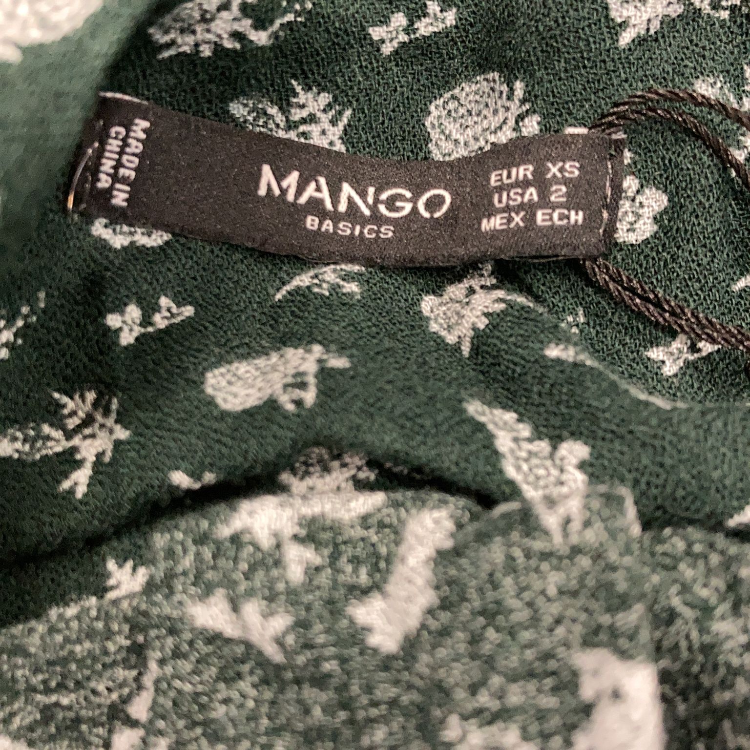 Mango Basics