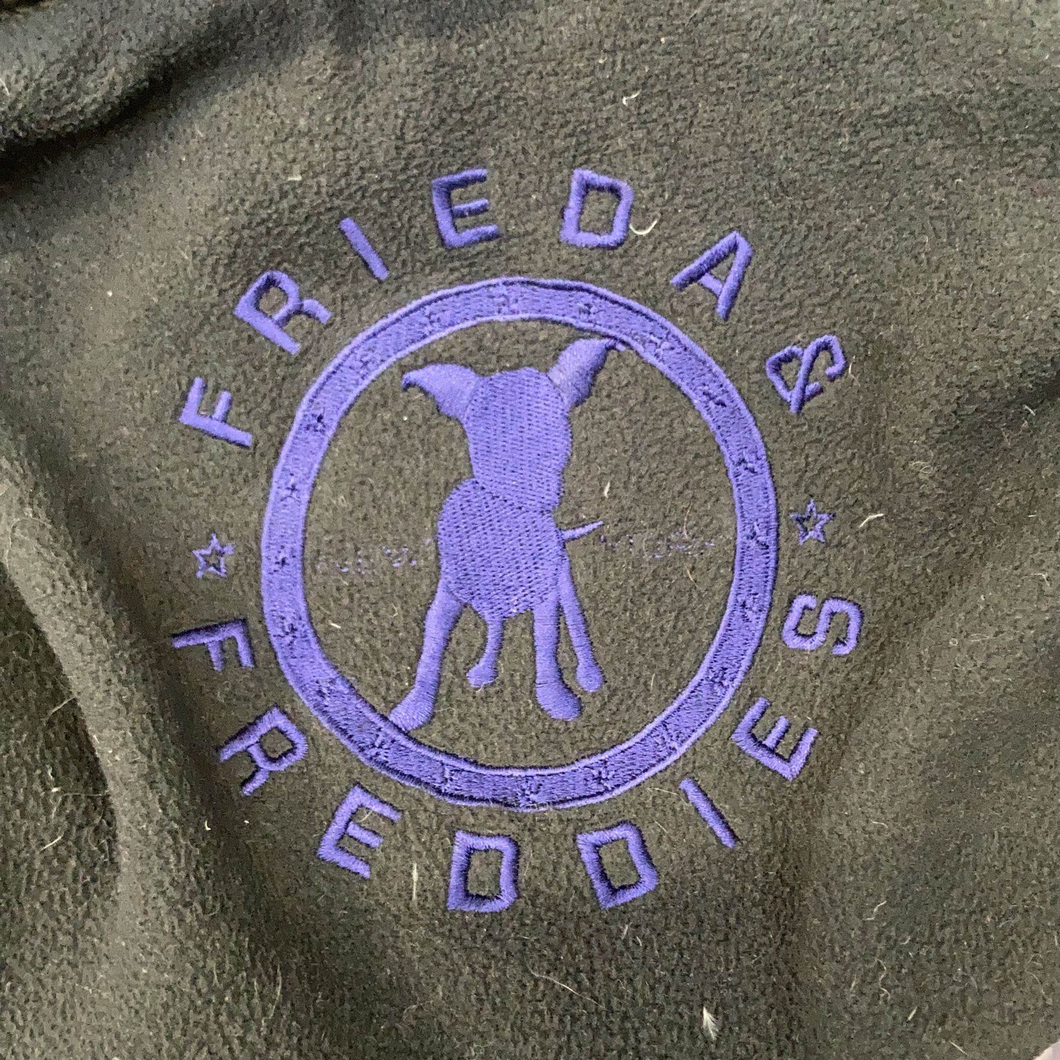 Frieda  Freddies