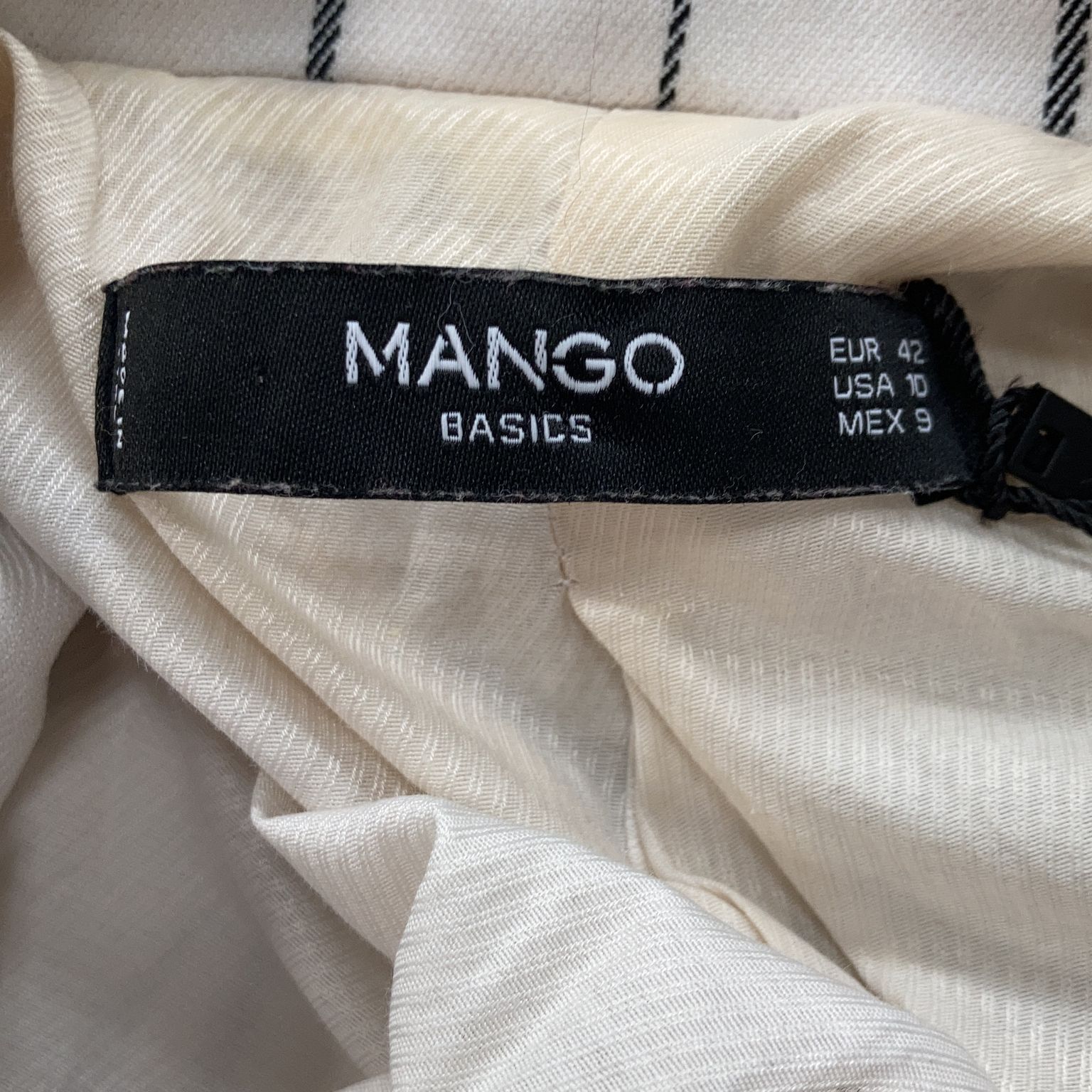 Mango Basics