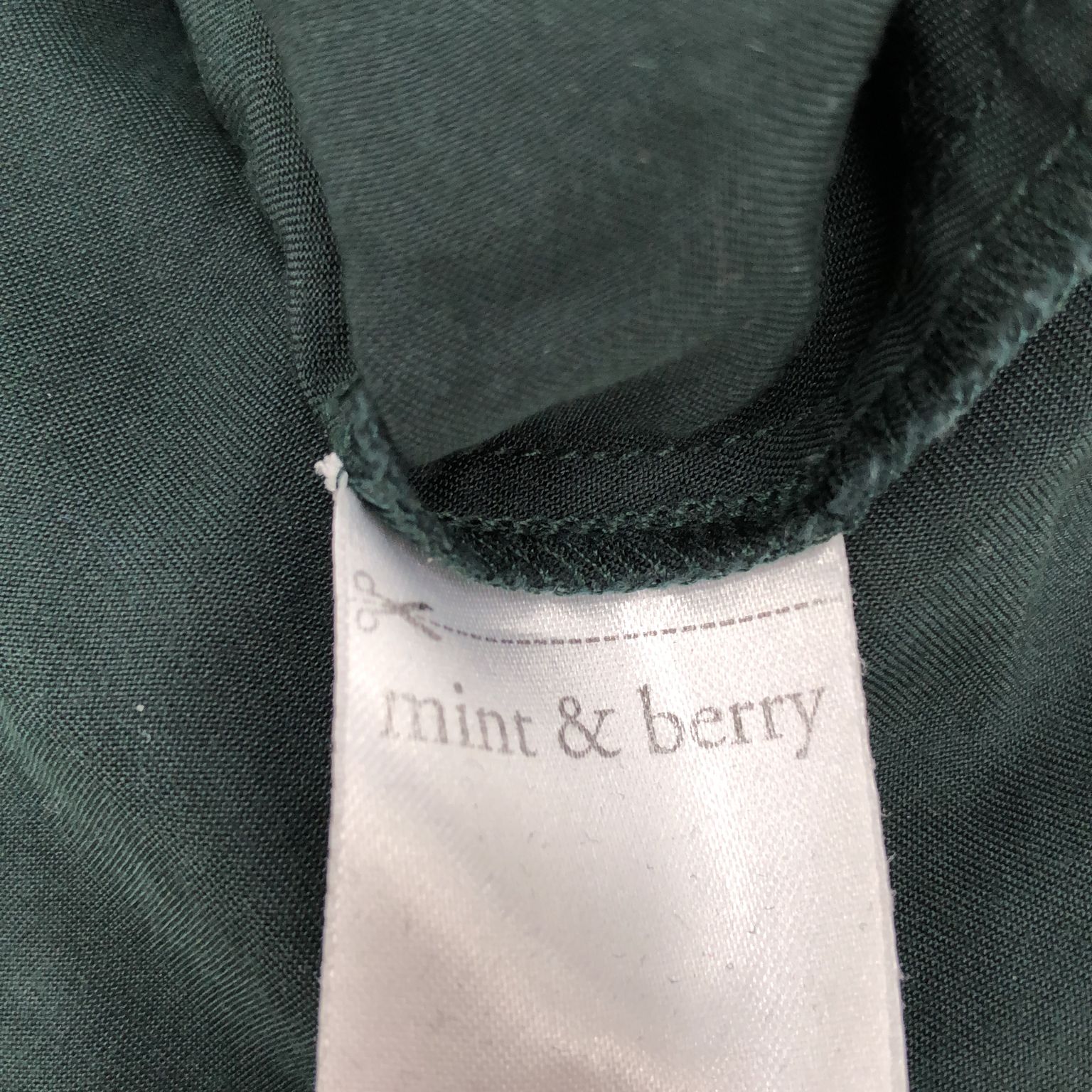 Mint  Berry