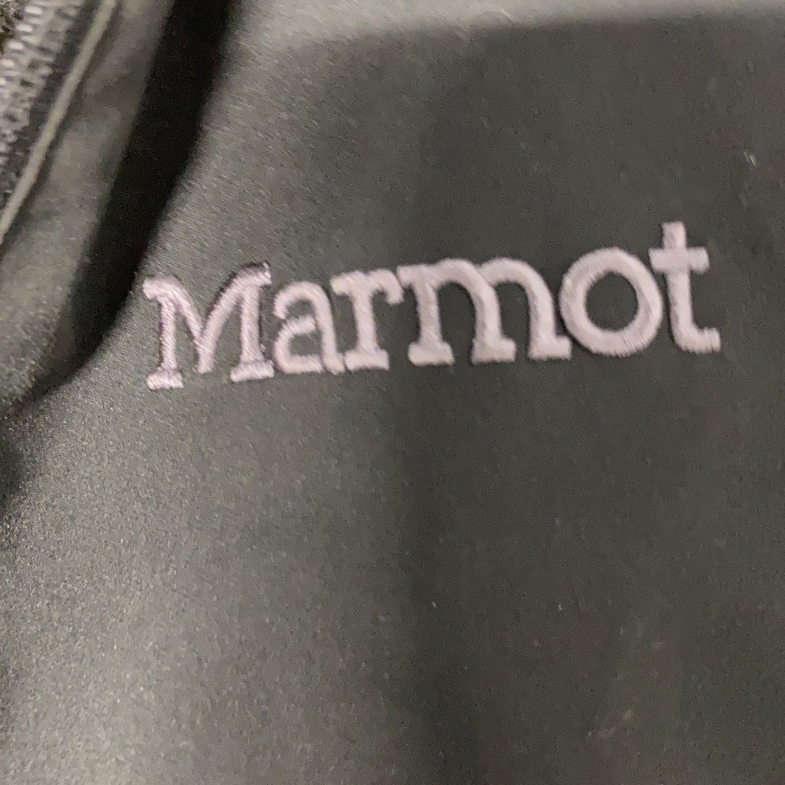 Marmot