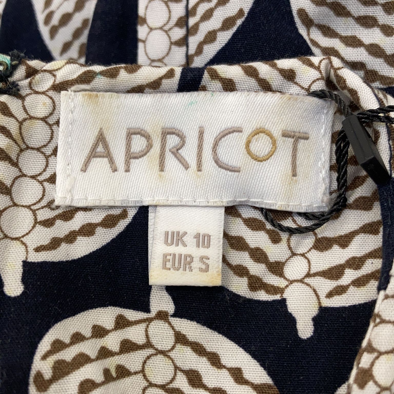 Apricot