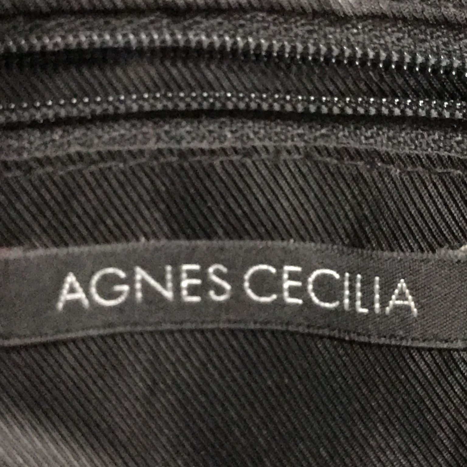 Agnes Cecilia