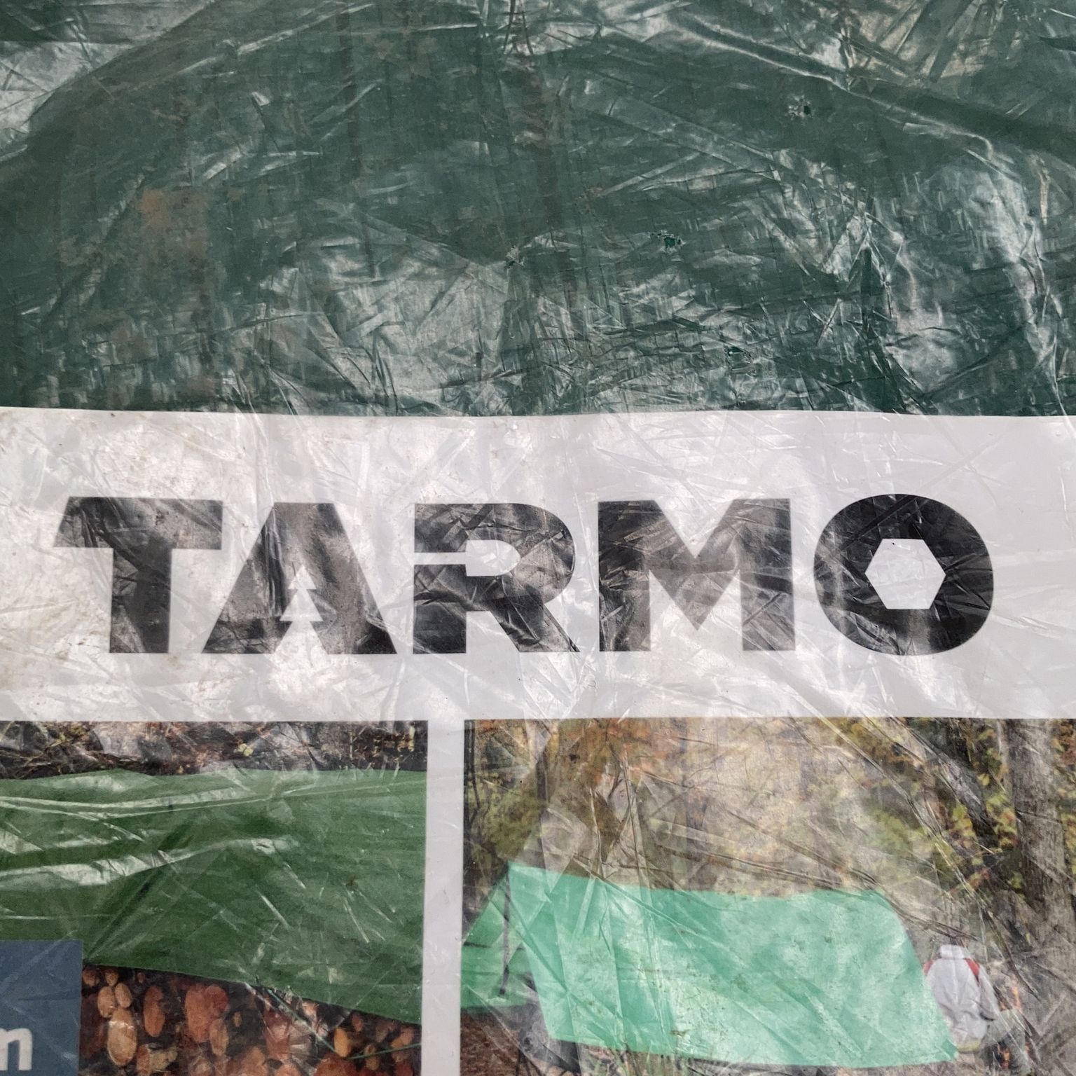 Tarmo