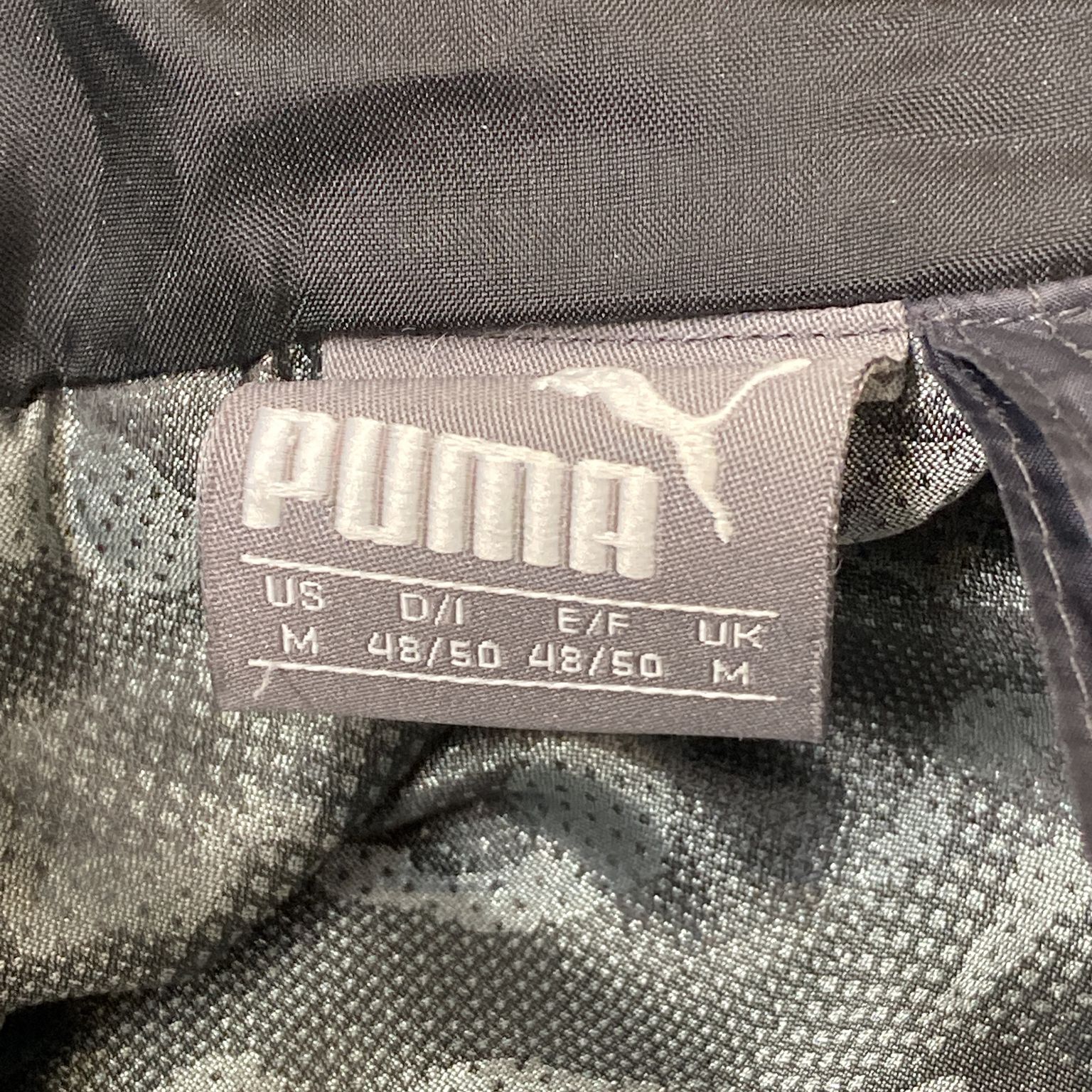 Puma