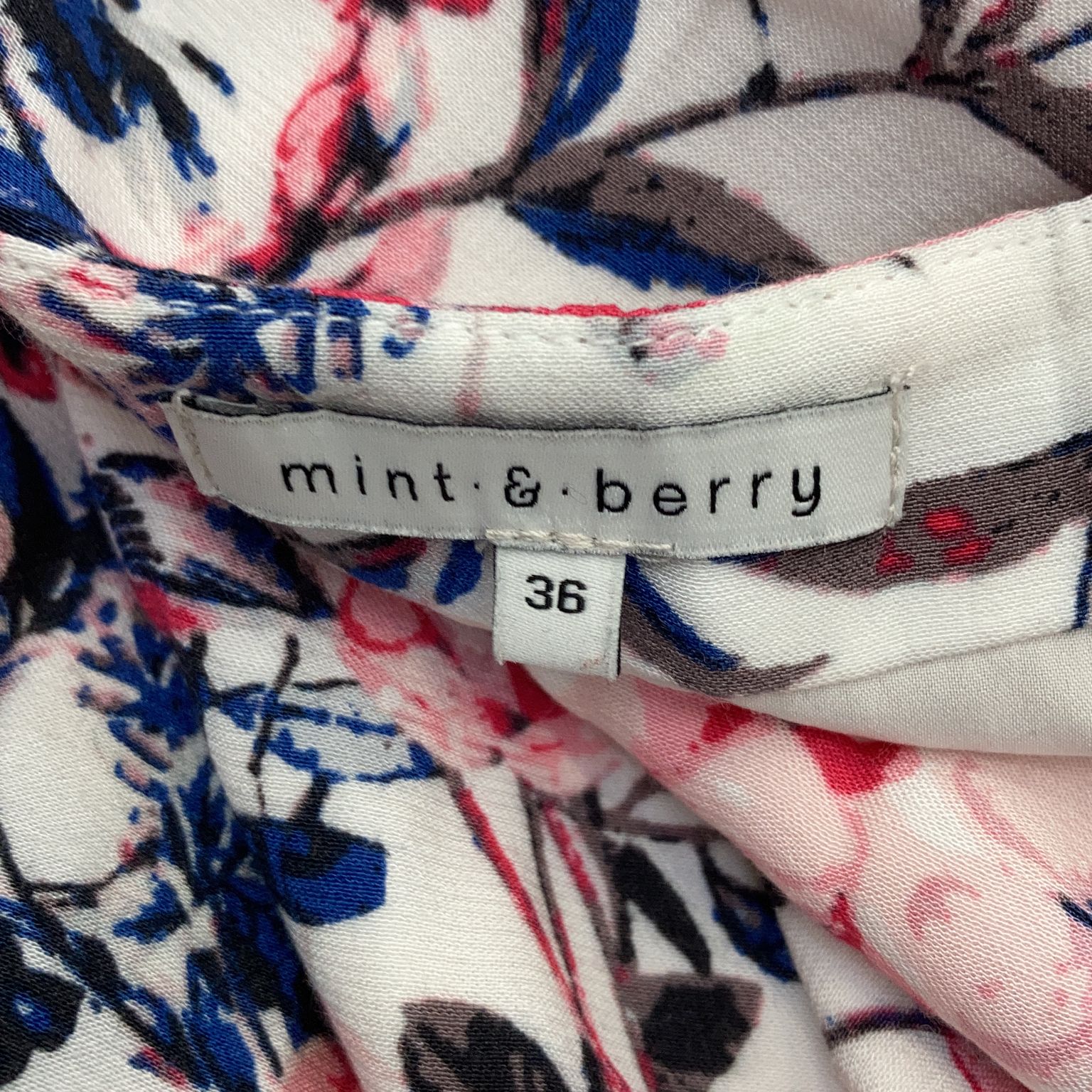 Mint  Berry