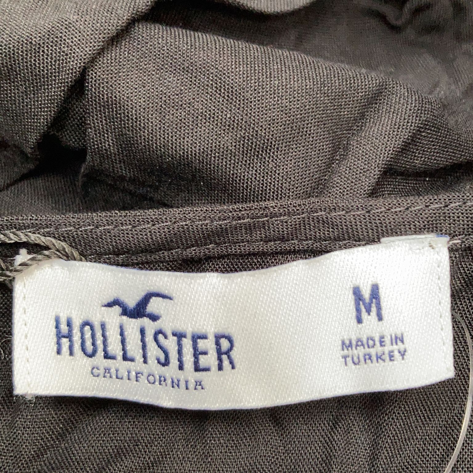 Hollister