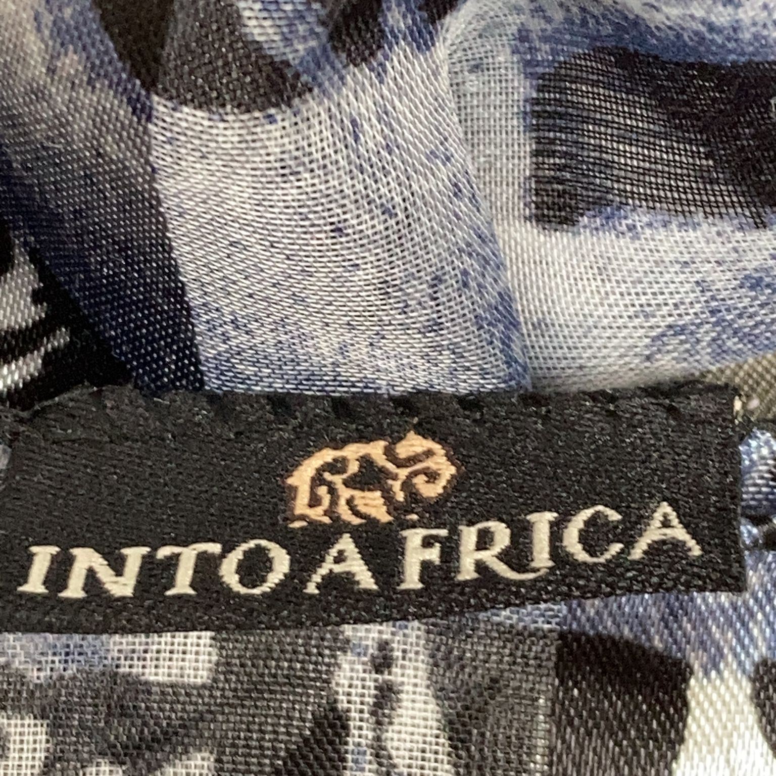 Into Africa