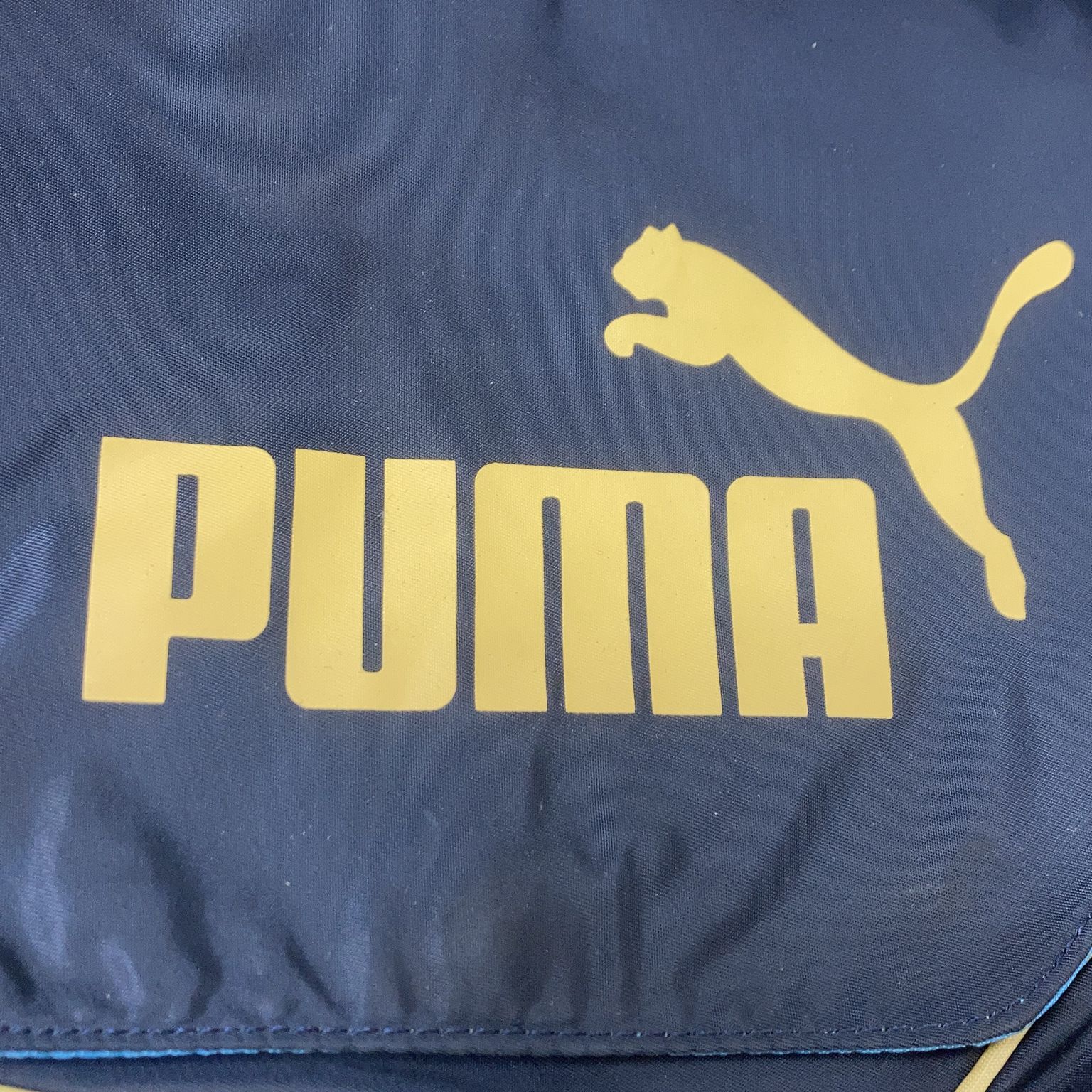 Puma