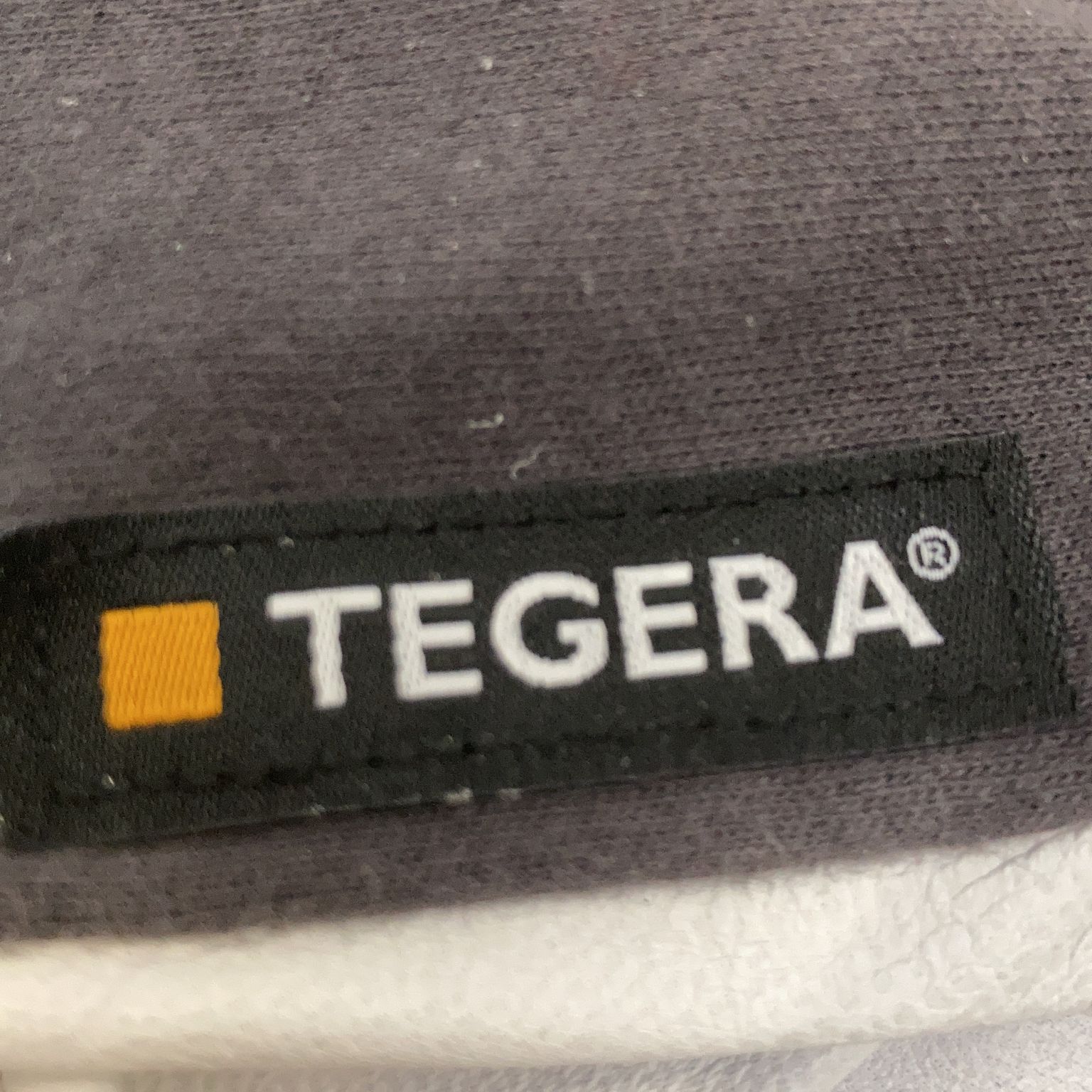 Tegera