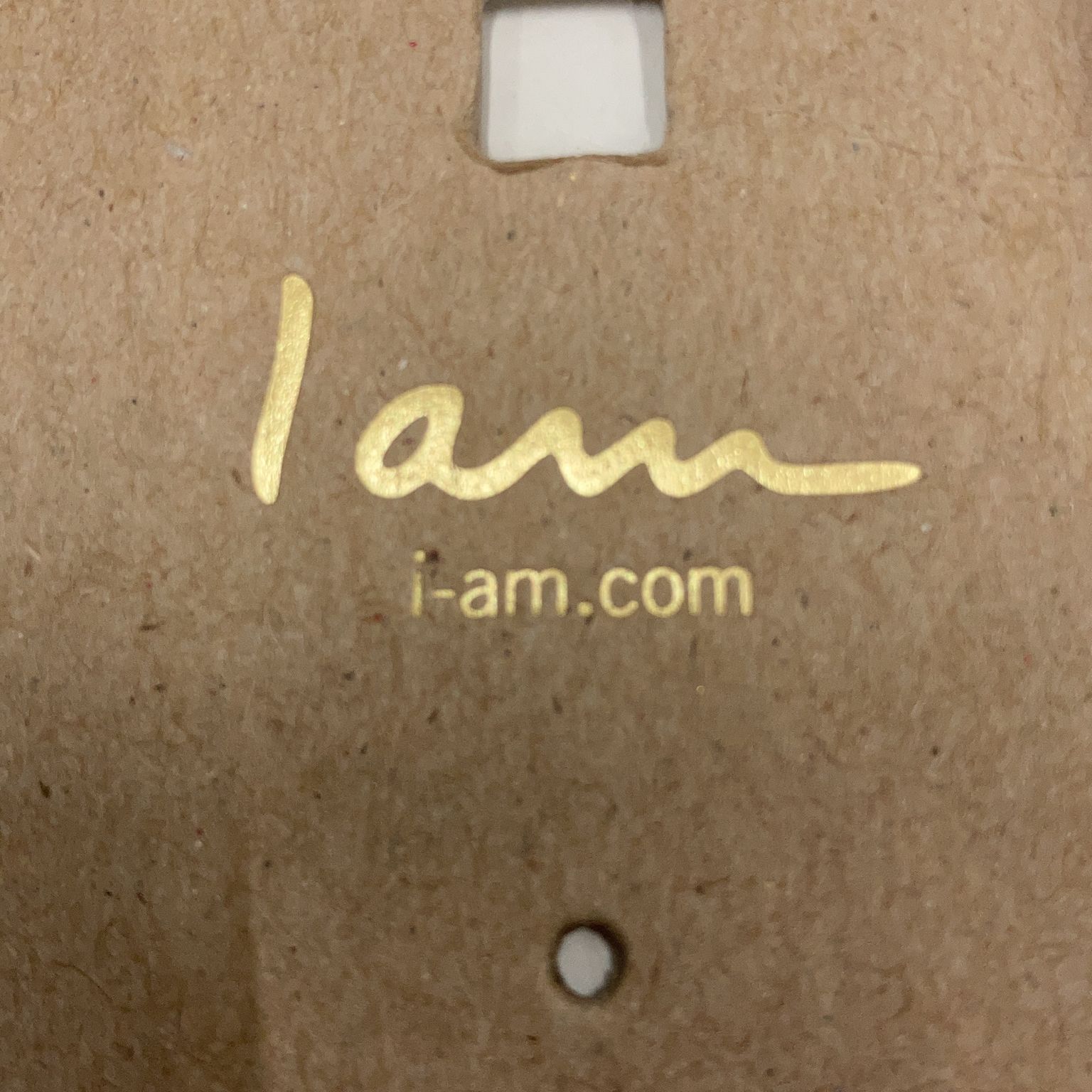 I Am