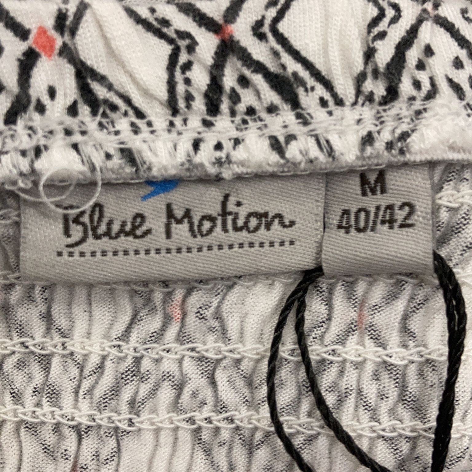 Blue Motion