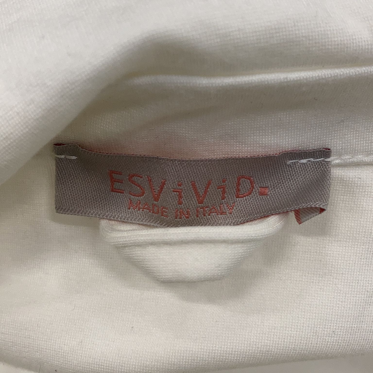 ESViViD