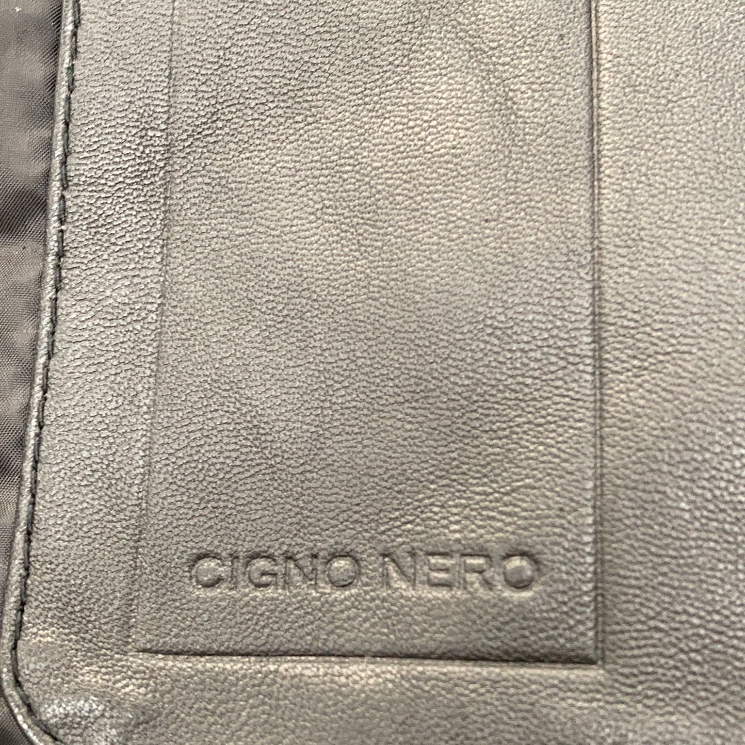 Cigno Nero