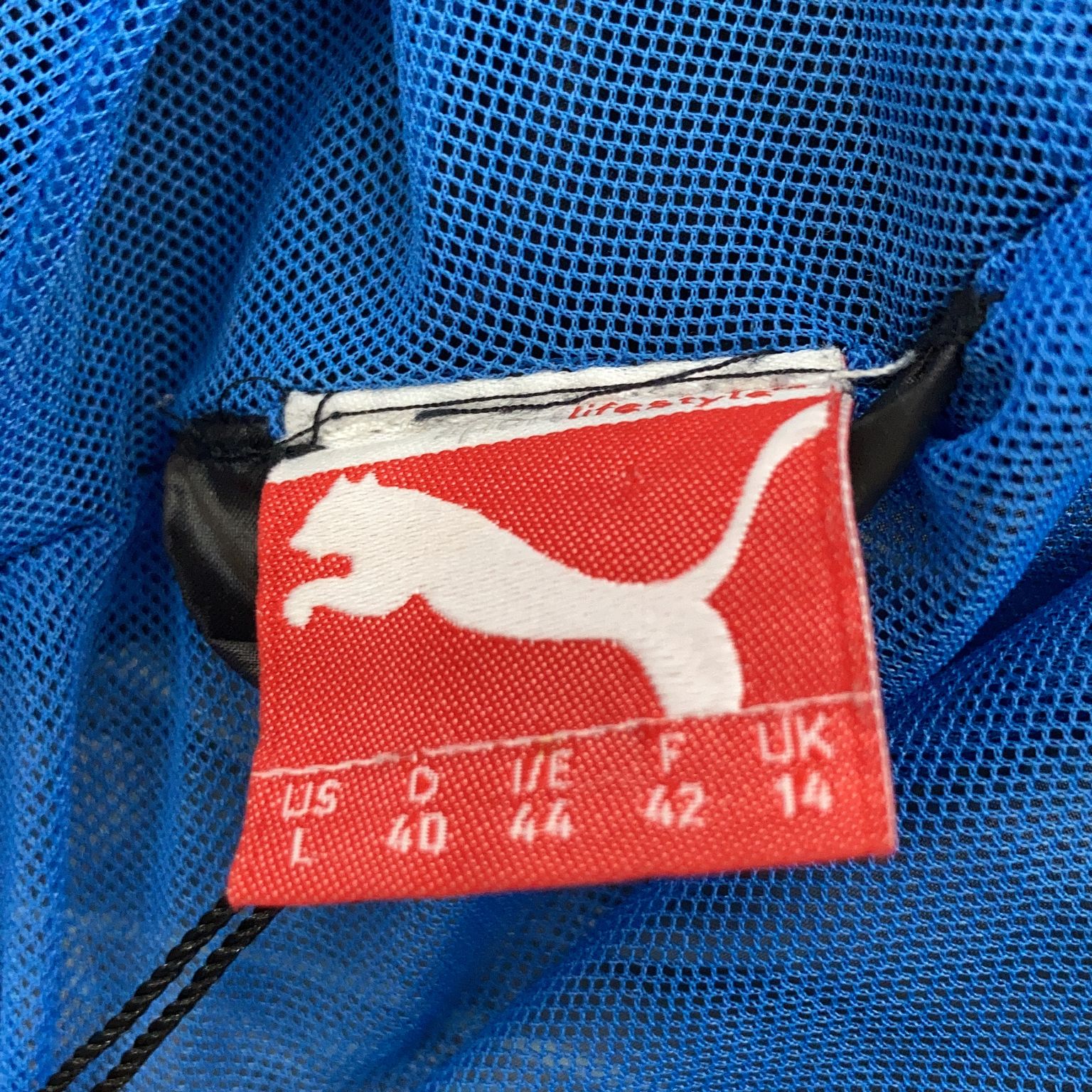 Puma